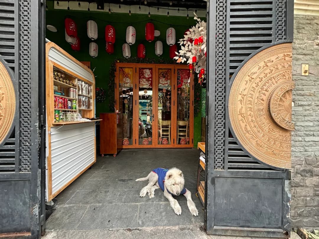 Cheesy KAT restaurant location